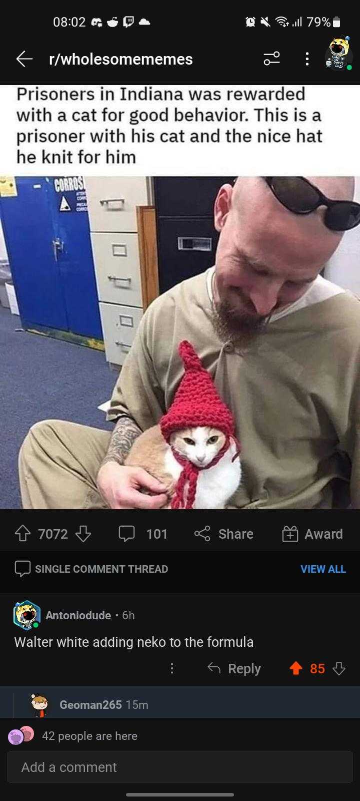 araffes mememes a man in a hat and sweater holding a cat