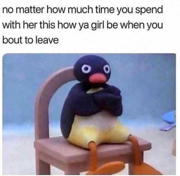 penguin sitting on a chair with a caption that reads, no matter how much time you spend with her