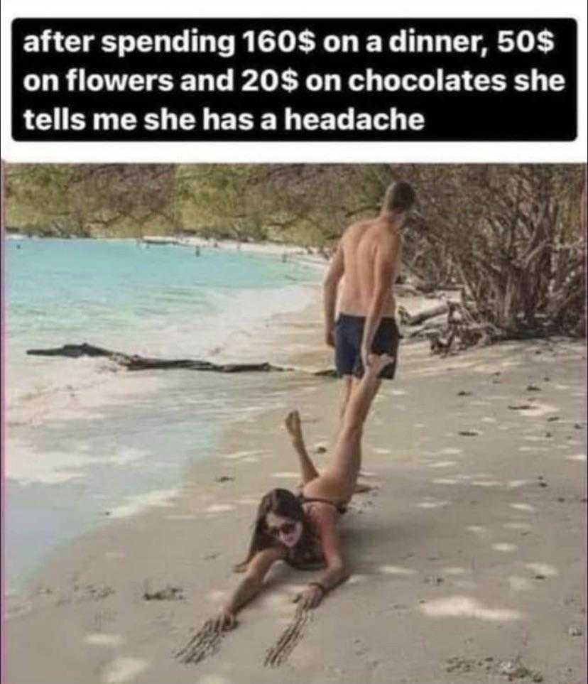 araffes on the beach with a woman on the sand