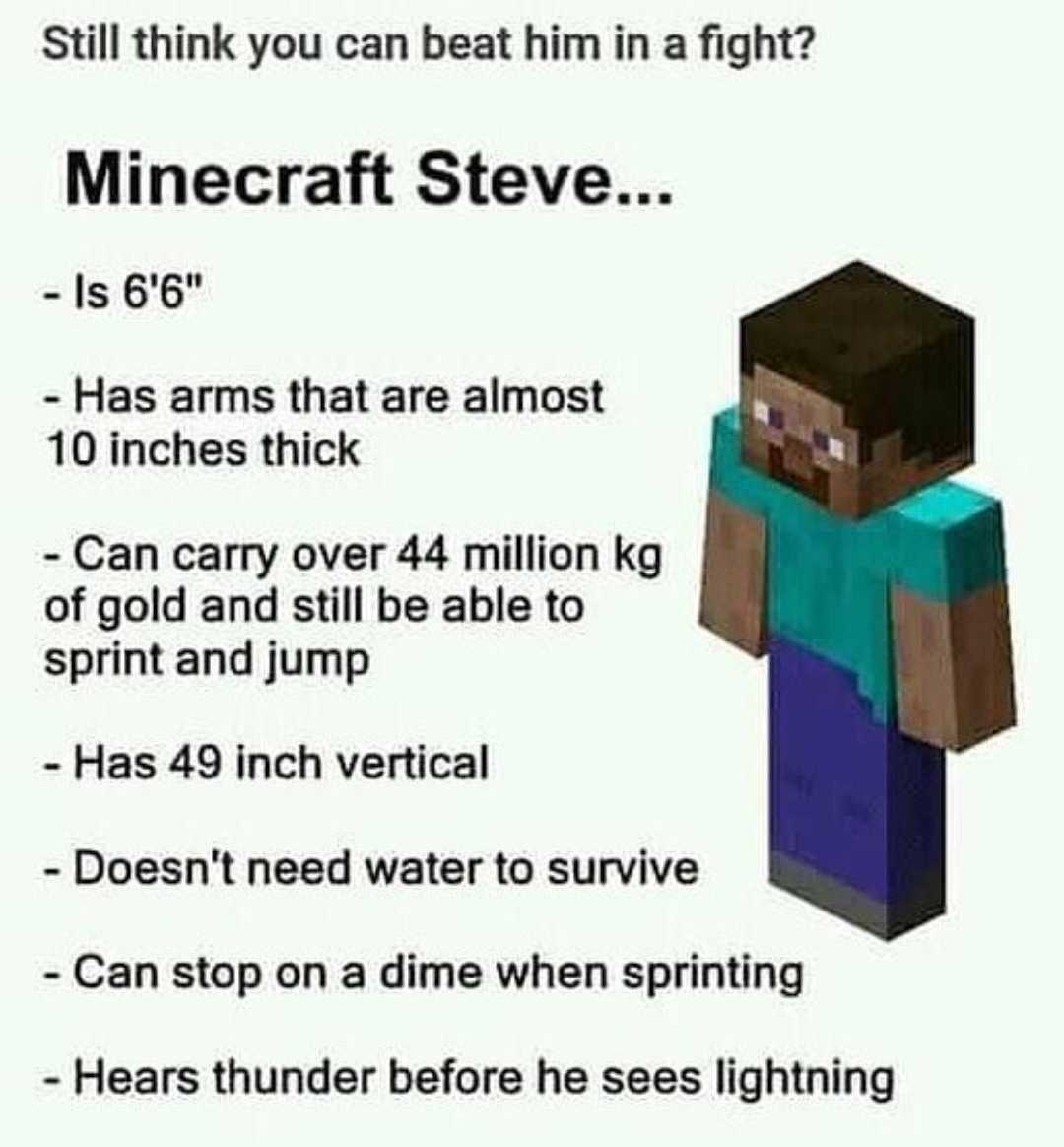 a cartoon picture of a man with a minecraft steve