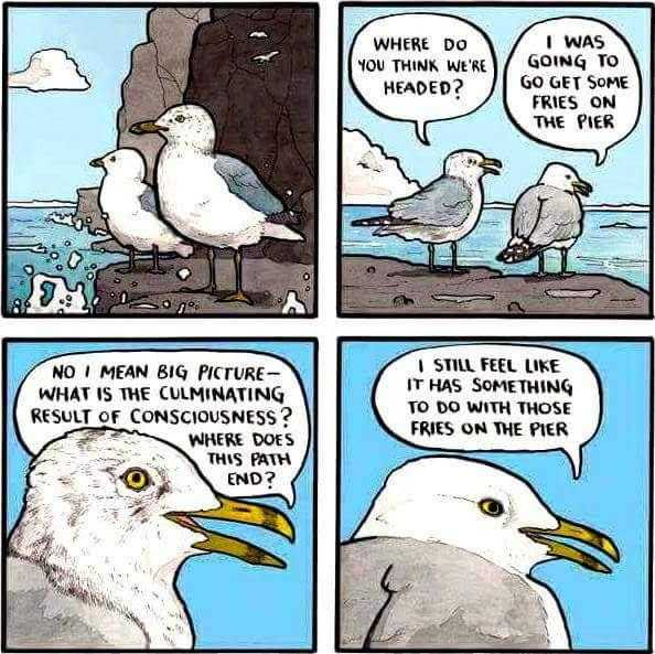 cartoon of a seagull and a seagull on a beach