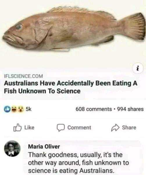 a close up of a fish on a white background with a caption