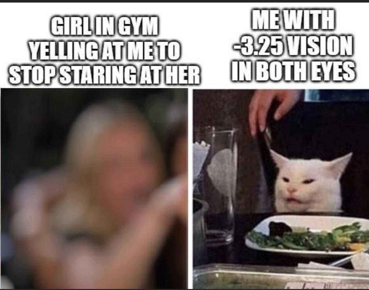 araffes meme of a woman eating a salad and a cat