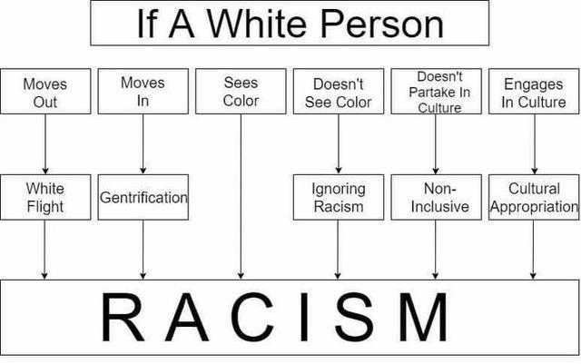 a diagram of racism and racism in a white person