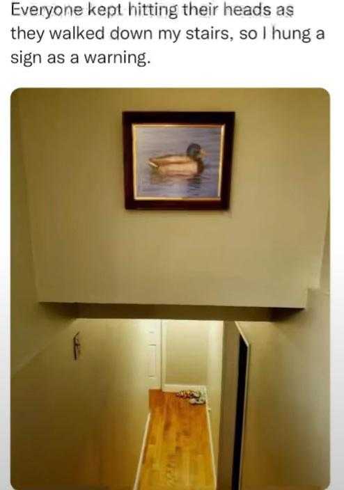 picture of a hallway with a picture of a duck on the wall