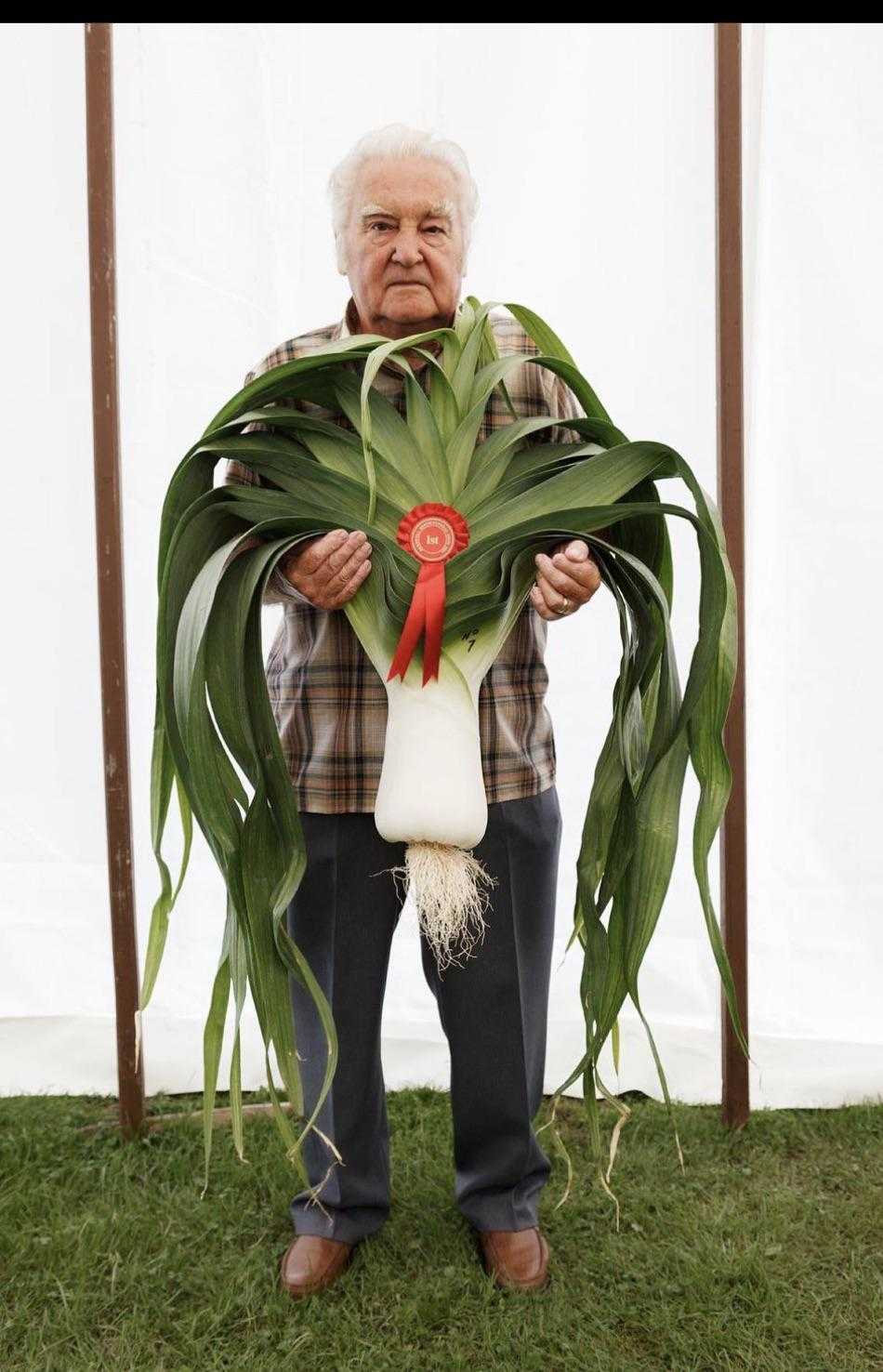 man holding a large plant with a red ribbon around it