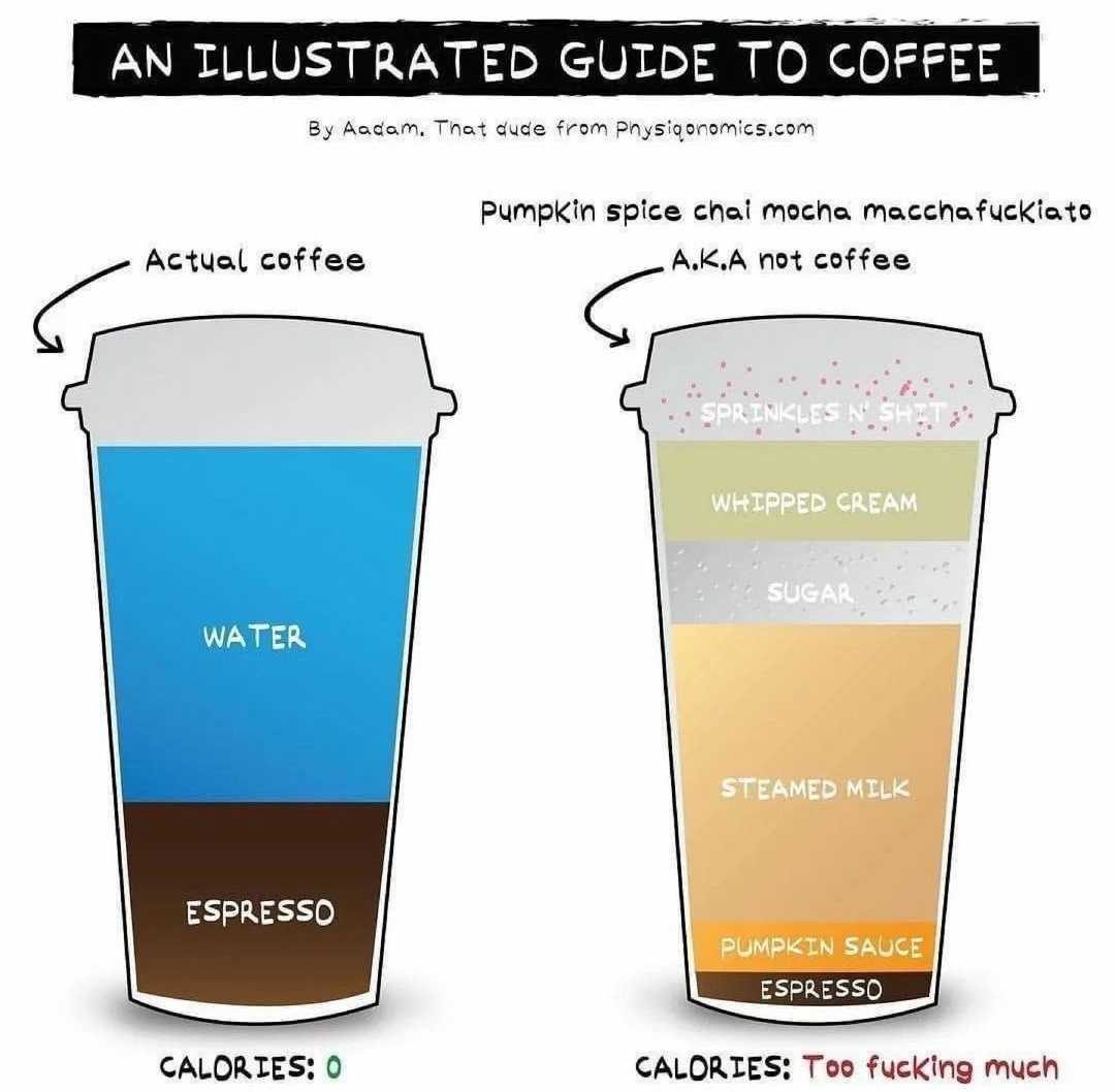 illustration of a guide to coffee