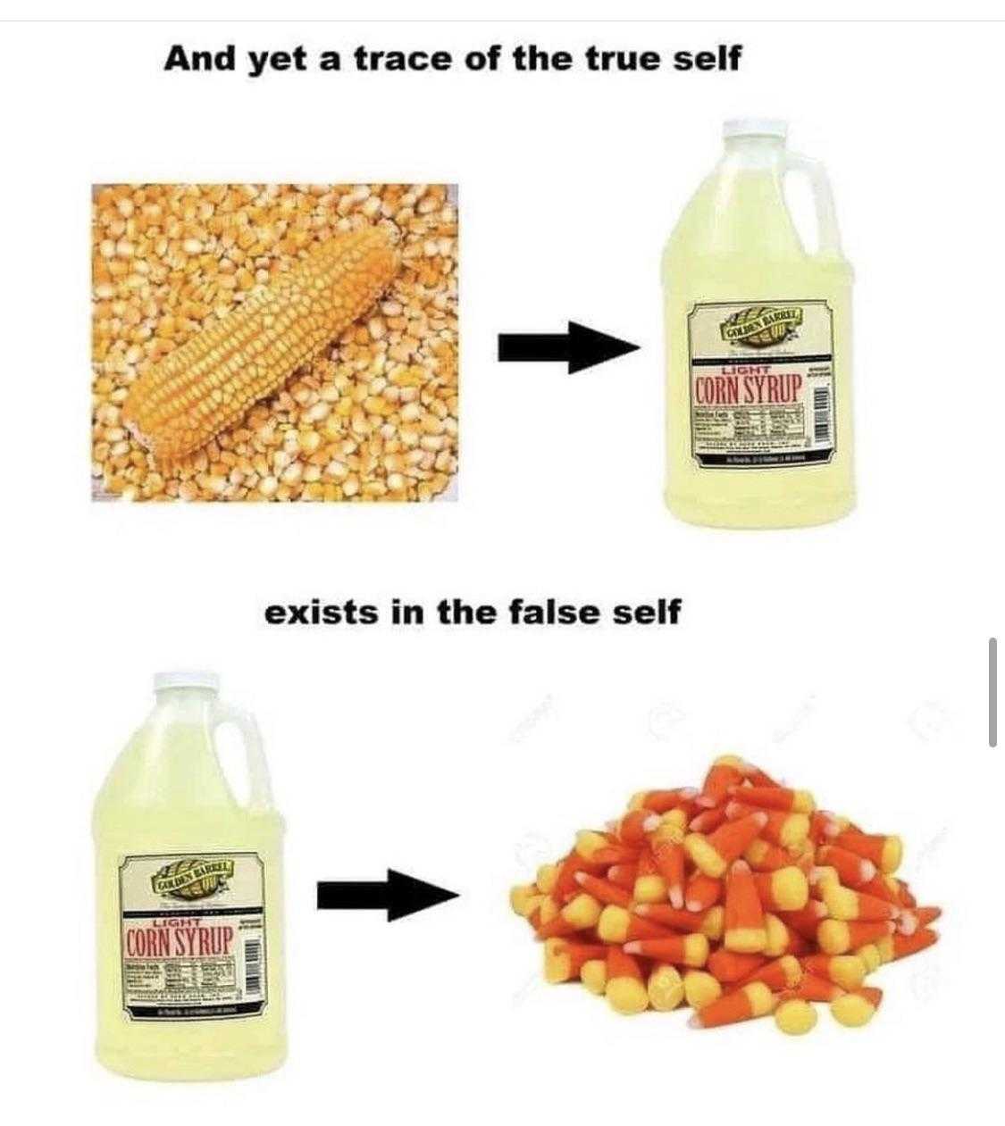 a picture shows a picture of corn and a bottle of corn oil