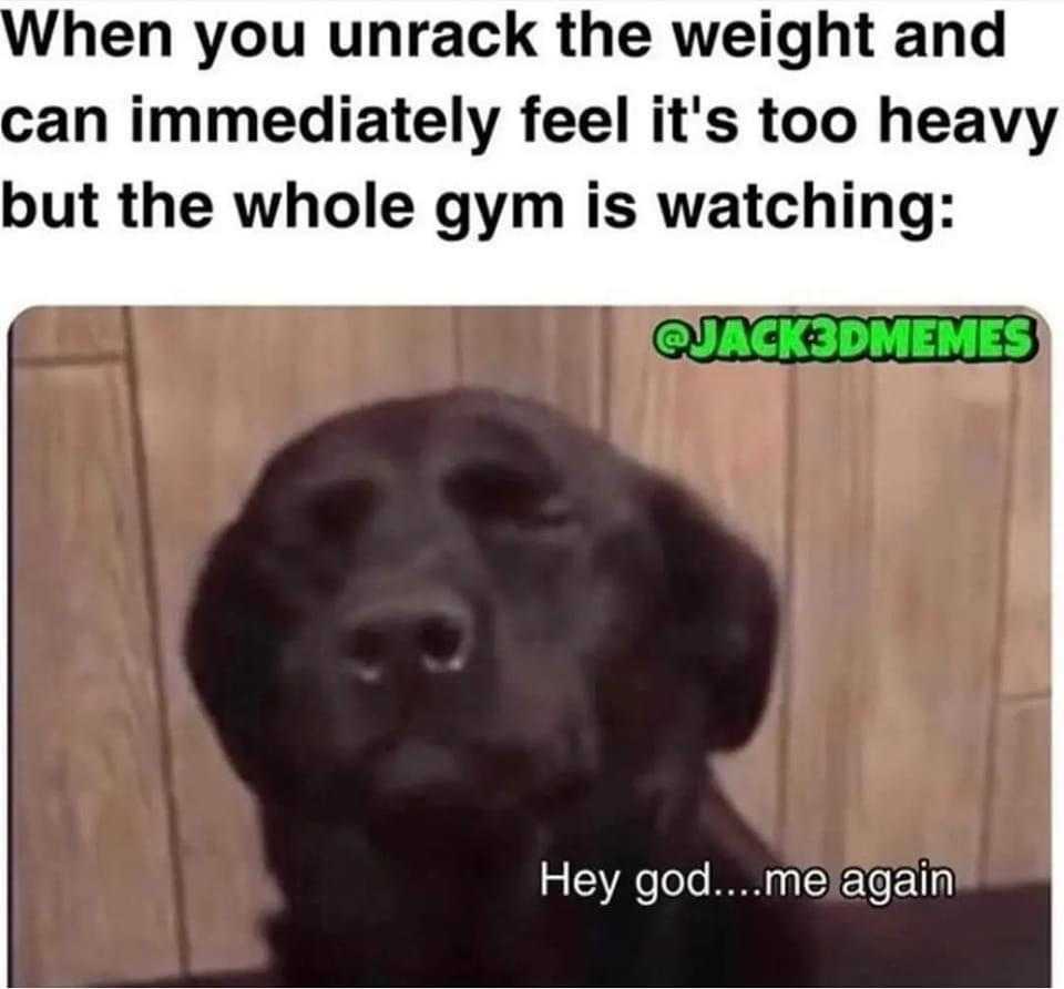 dog with a caption saying when you unpack the weight and can immediately tell it ' s to heavy but the whole gym is watching