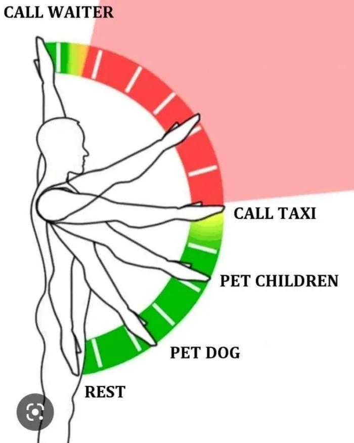 a diagram of a person doing a yoga pose with a dog