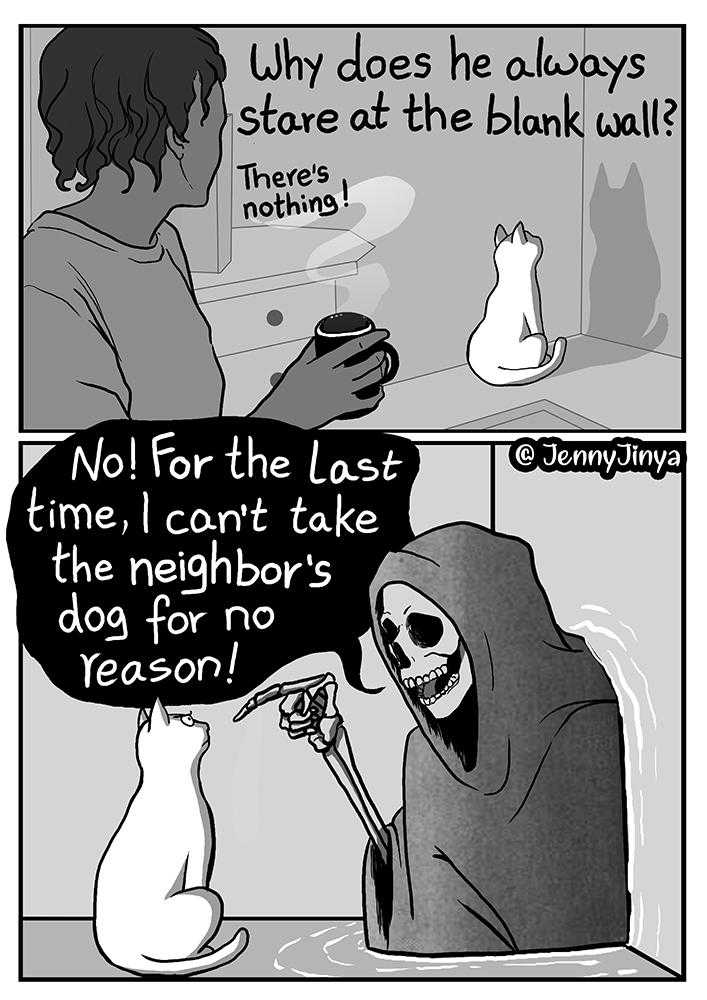 cartoon of a person in a hoodie and a cat with a sign saying, why does he looss