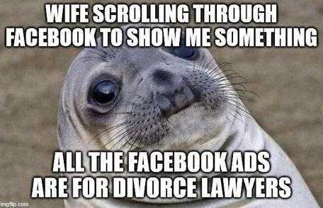 a close up of a seal seal with a caption saying wife scolling through facebook to show me