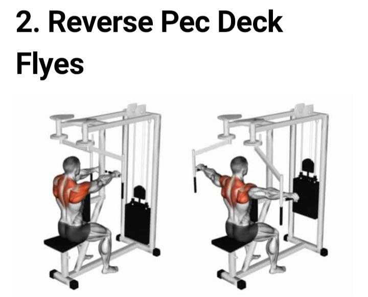 two reverse pec deck flyers with a man doing a seated back