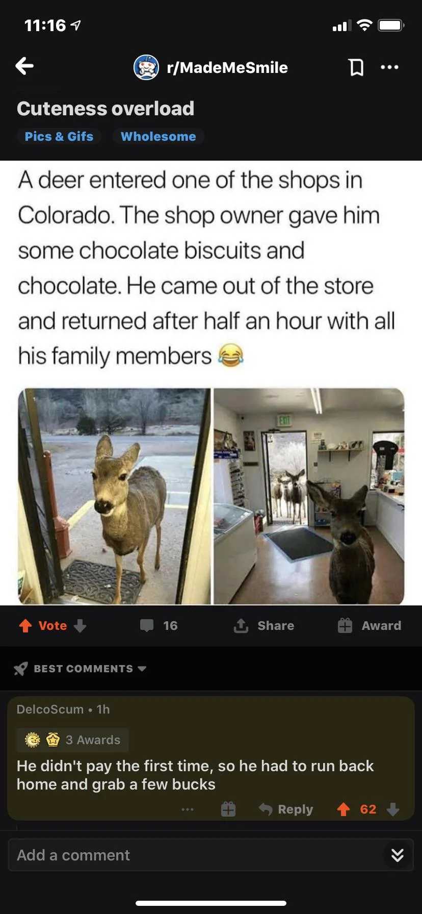 a screenshot of a dog standing in a kitchen with a dog on the floor