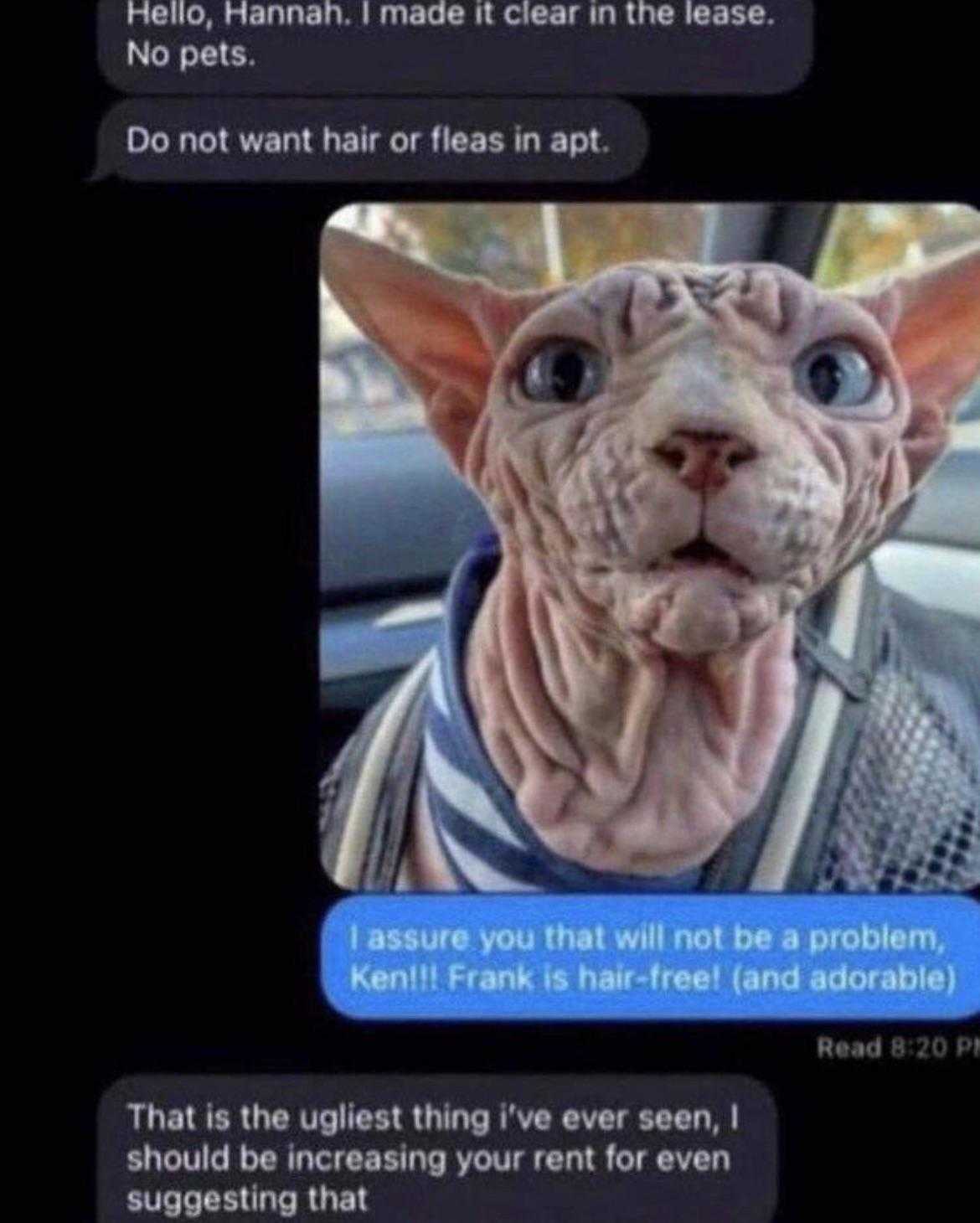 a close up of a text message with a cat on it