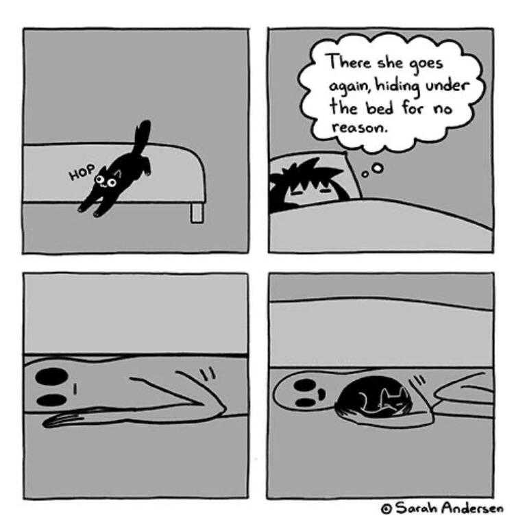 a comic strip with a cat laying on a couch and a cat sleeping on the couch