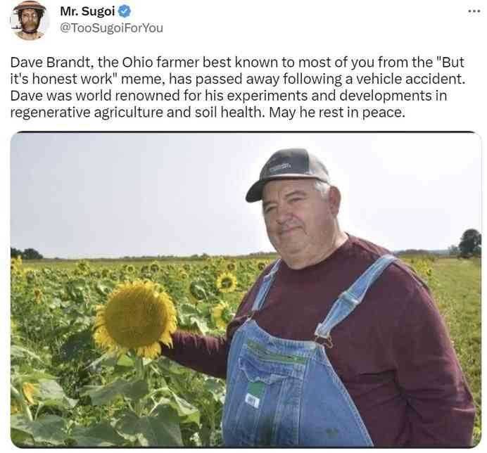 man in overalls holding a sunflower in a field