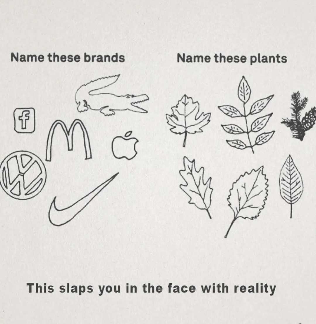 there is a sign that states that there are many plants