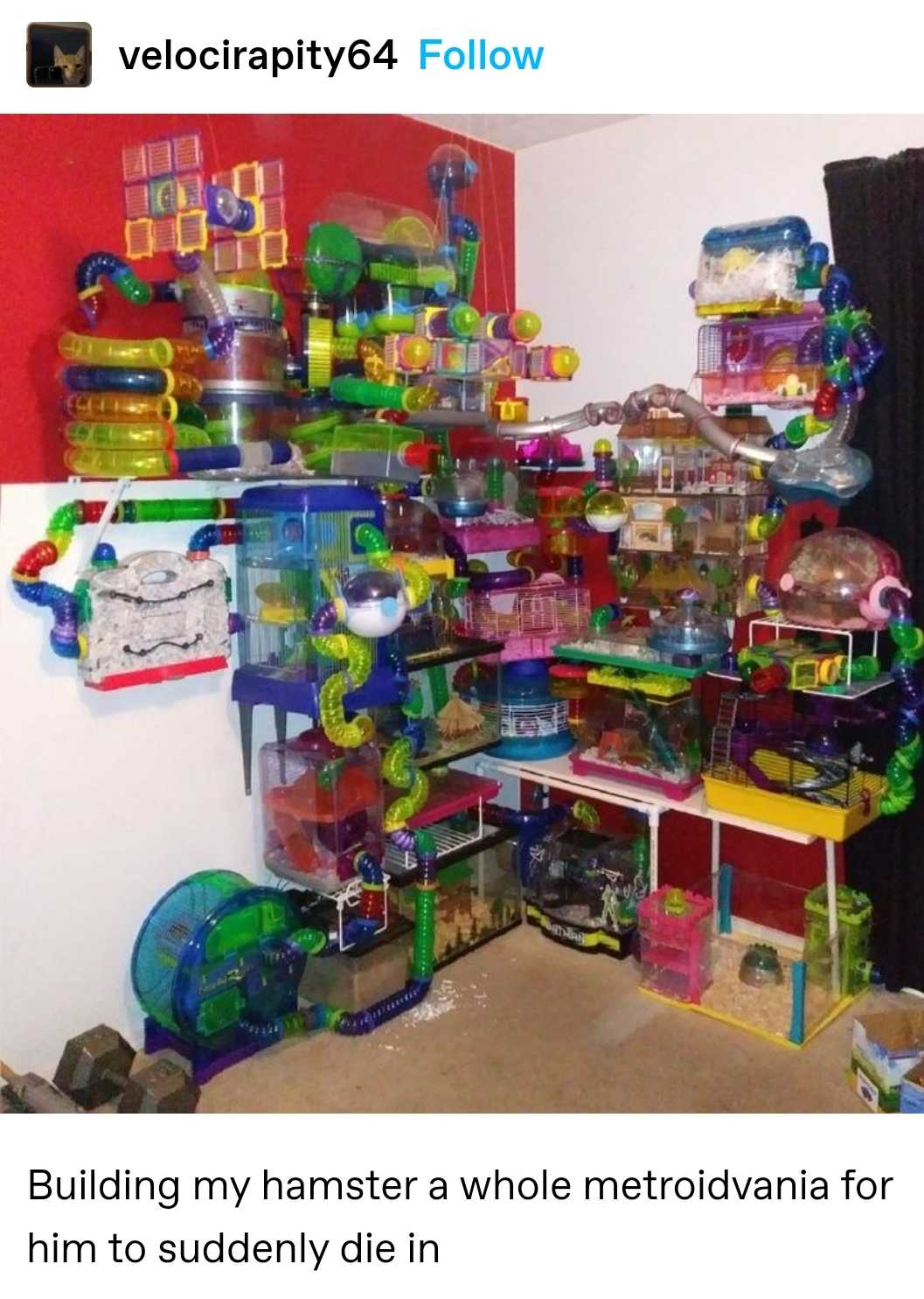 a close up of a room with a bunch of toys on the wall