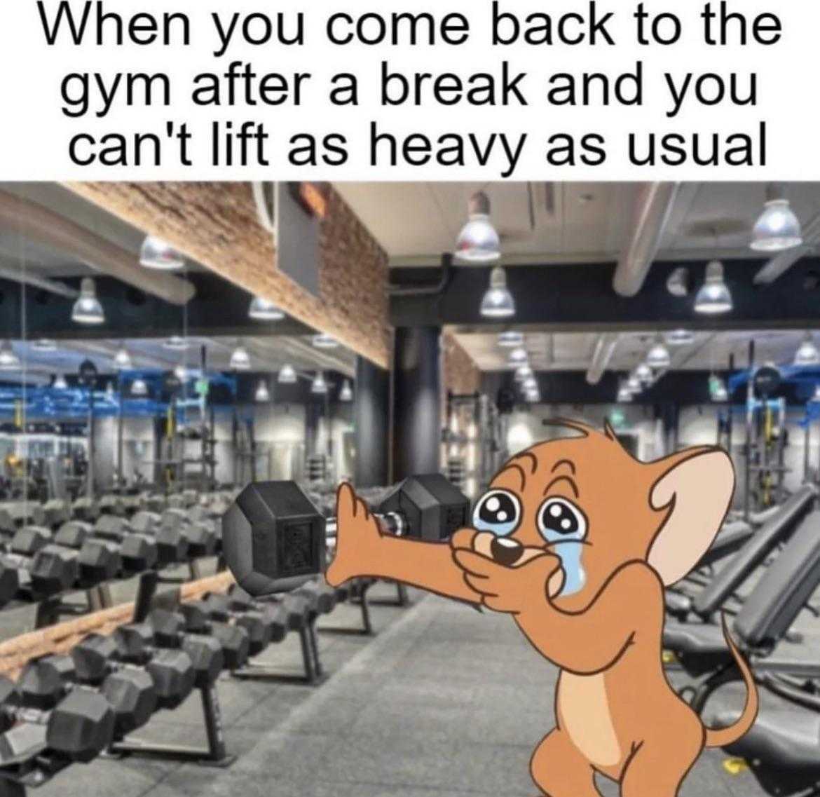 a cartoon dog lifting a dumb dumb dumb dumbs in a gym