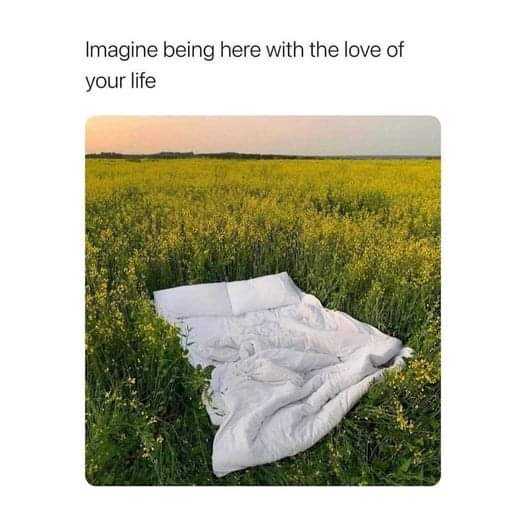 blanket in a field of yellow flowers with a sky background