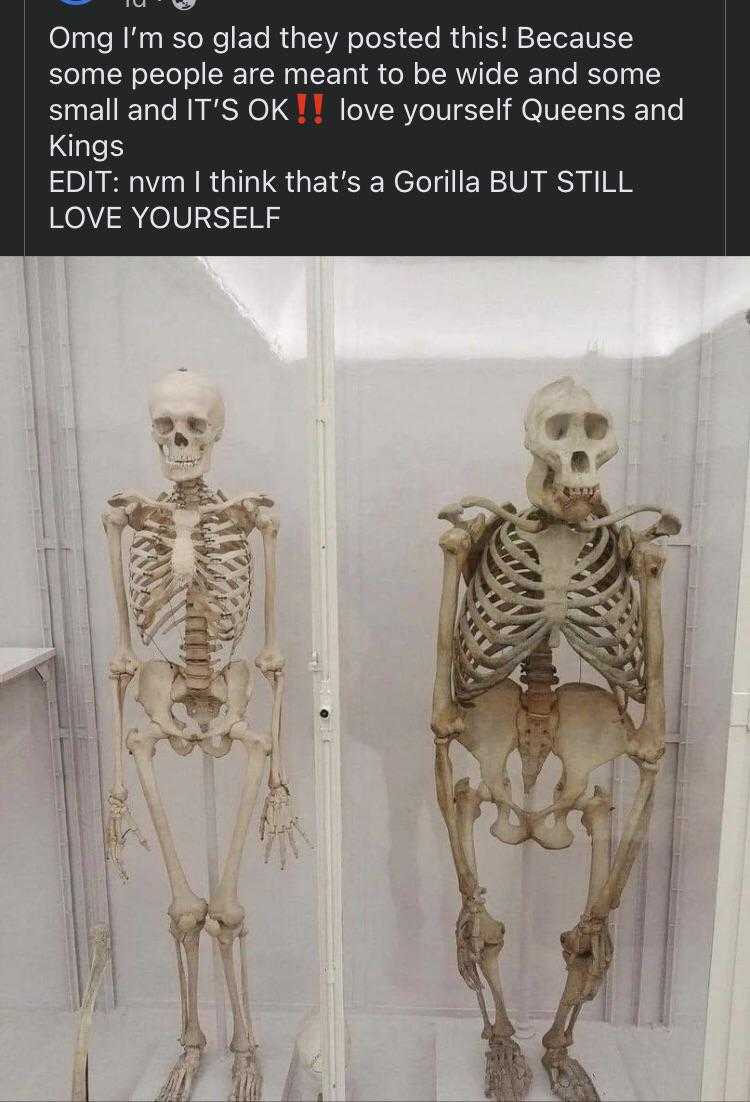 two skeletons in a glass case with a caption that reads, omg i ' m glad they posted