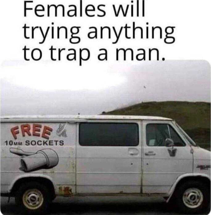 van with a sign that says, females will try anything to trap a man