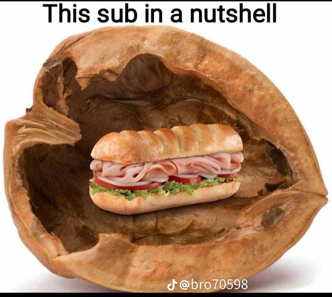 there is a sandwich in a nut shell with a picture of a sandwich inside