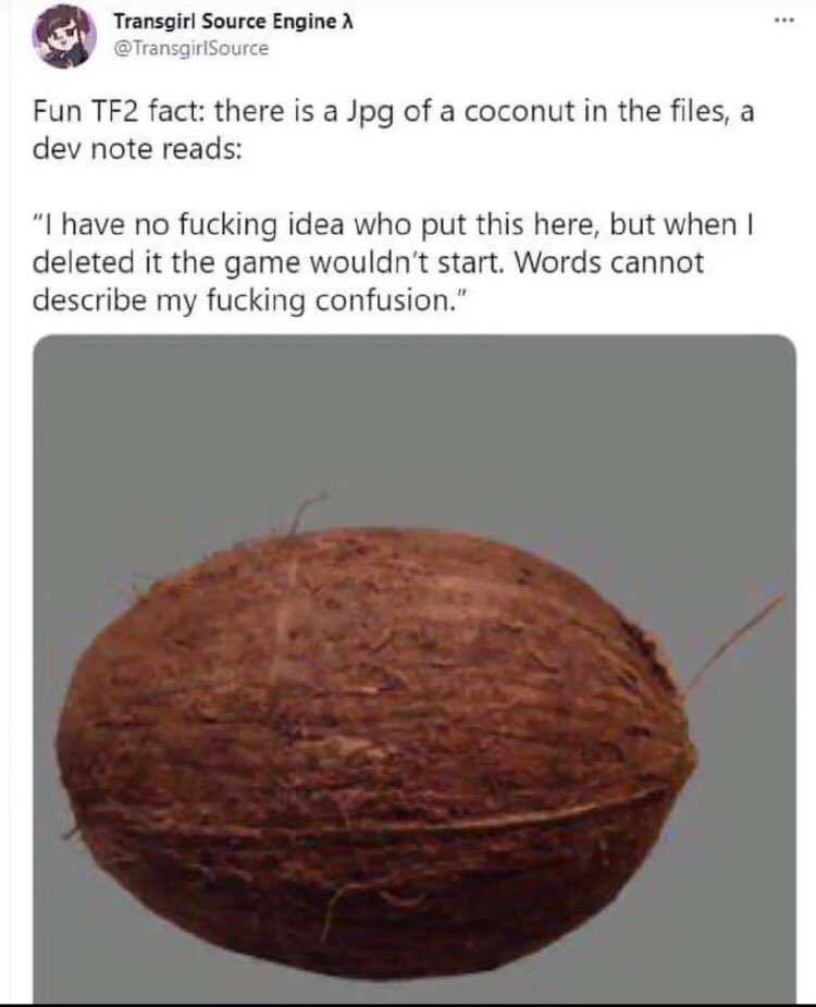 a close up of a coconut on a table with a tweet on it