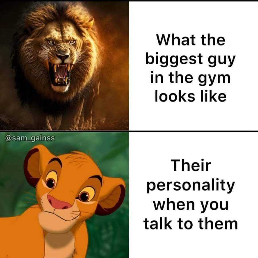 a cartoon lion with a caption saying what the biggest guy in the gym looks like their personality when you