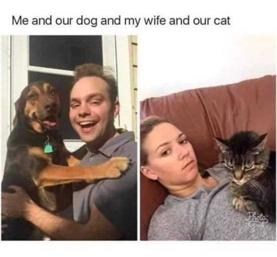 man and a woman sitting on a couch with a cat and dog