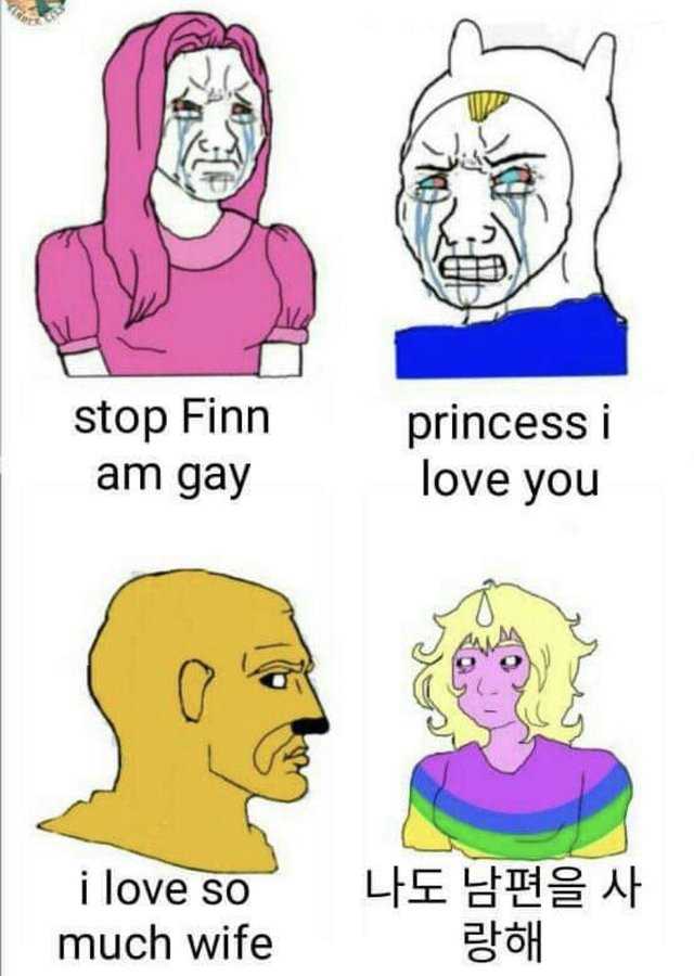 a cartoon picture of a woman with a face that says, stop finn and gay love you