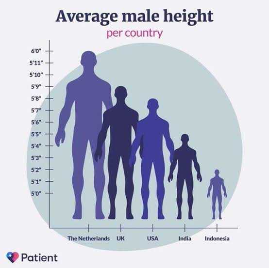 a diagram of average male height in the united states