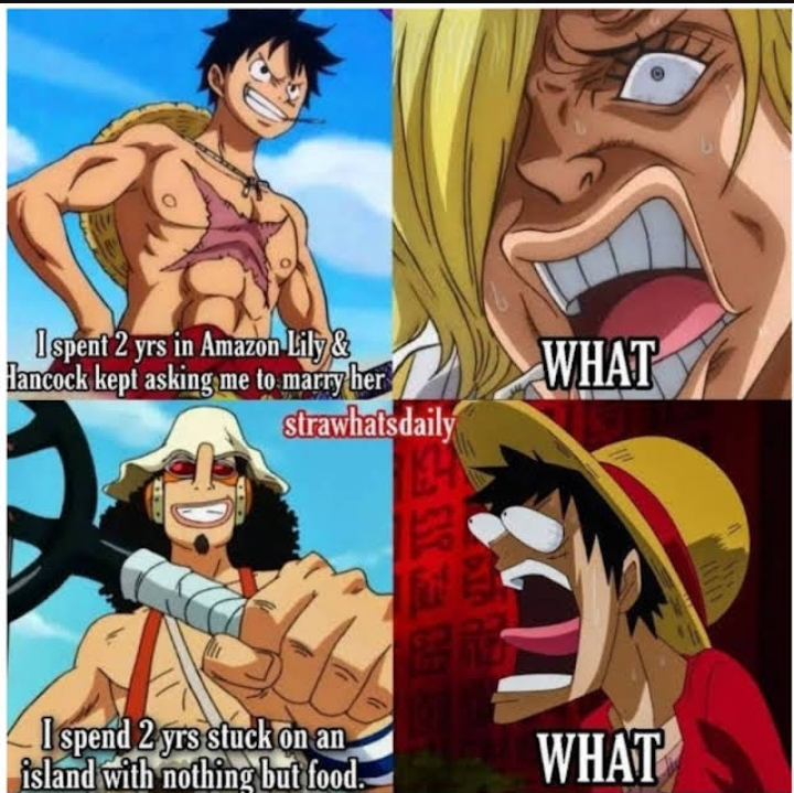 one piece meme with caption of the same character