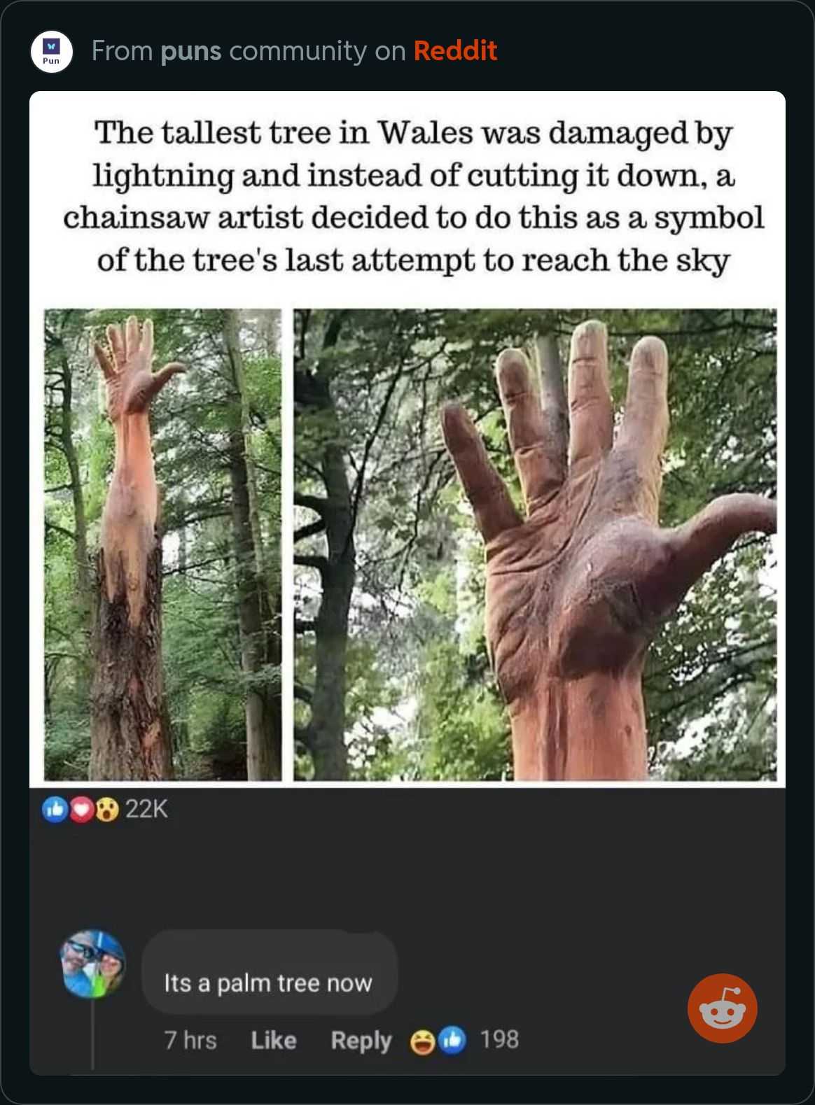 a close up of a person ' s hand with a tree in the background