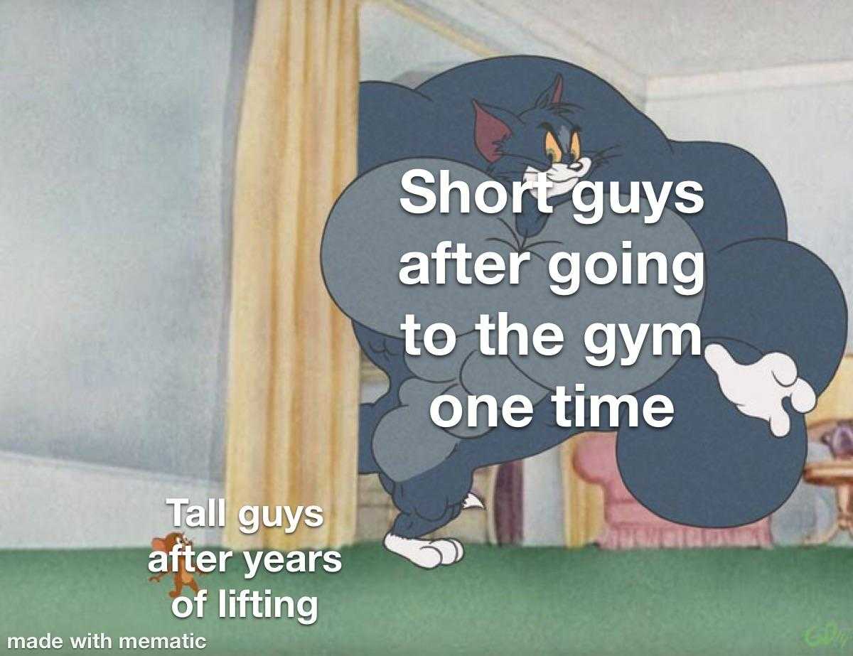 cartoon of a cat with a caption saying that says, short guys after going to the gym one time