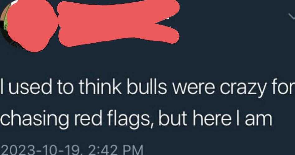 a screenshot of a twee with a red flag and a text that reads, i used to think bulls were crazy for chasing red flags, but here i am