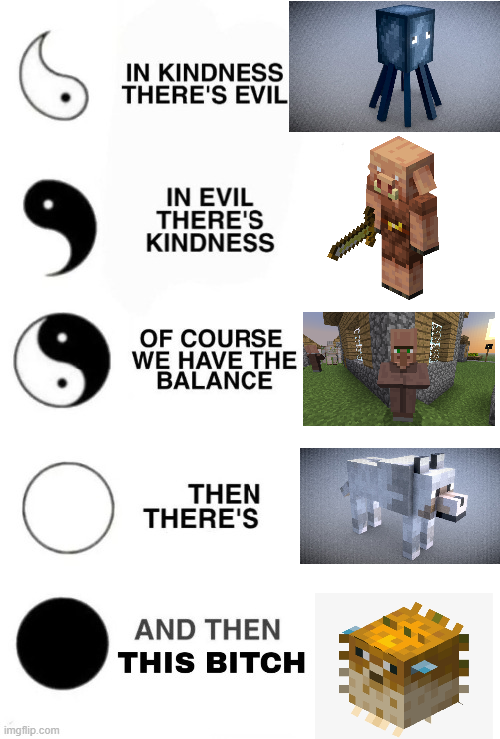 there are many different types of minecrafts with a picture of them