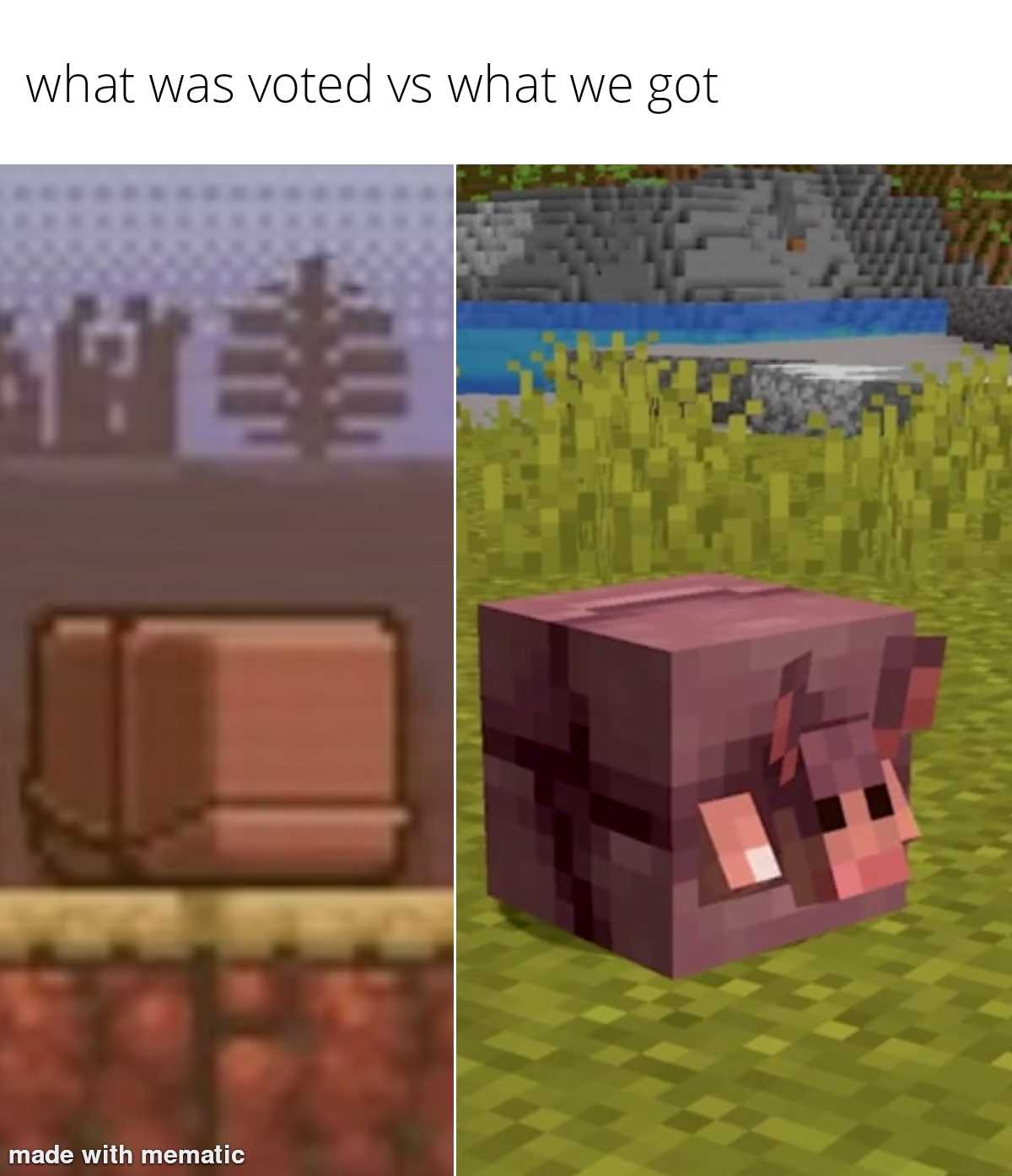 a picture taken from a minecraft video game of a pig and a box