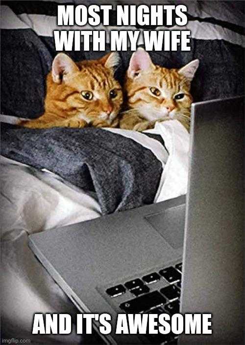 there are two cats that are laying on a bed with a laptop