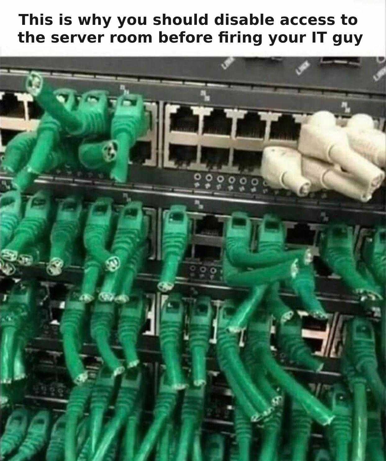 a close up of a bunch of green wires connected to a computer