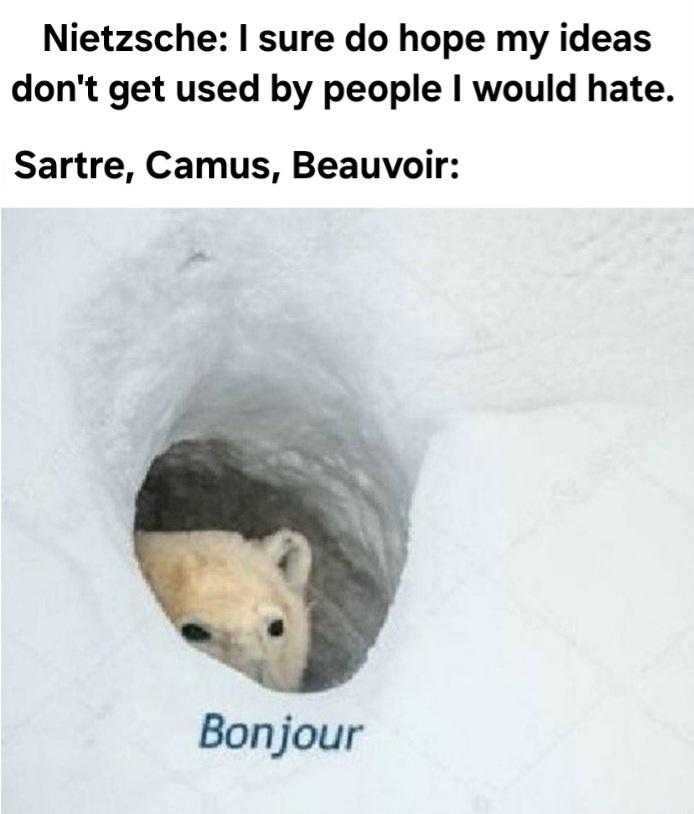 polar bear in a hole with caption saying, ' niezze sure do hope my ideas don ' t get used by people i would hate sarre, camus, beauvoir