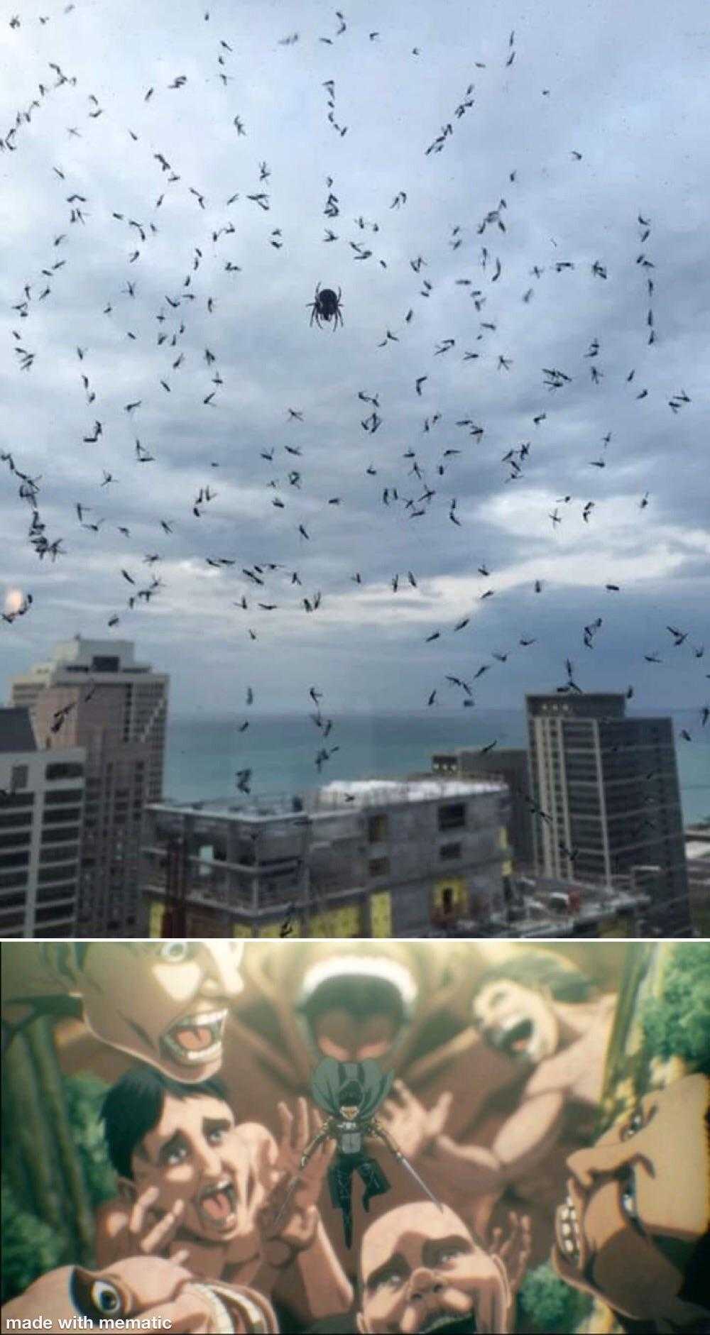 there are many birds flying in the sky over a city