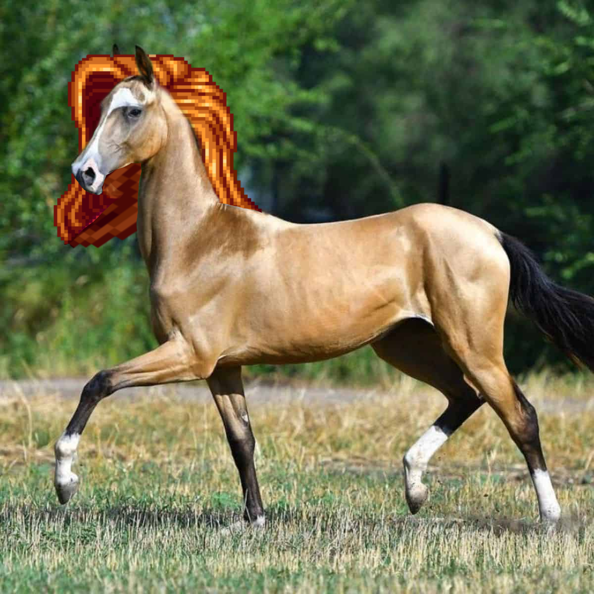 there is a horse with a red and orange mane running in a field