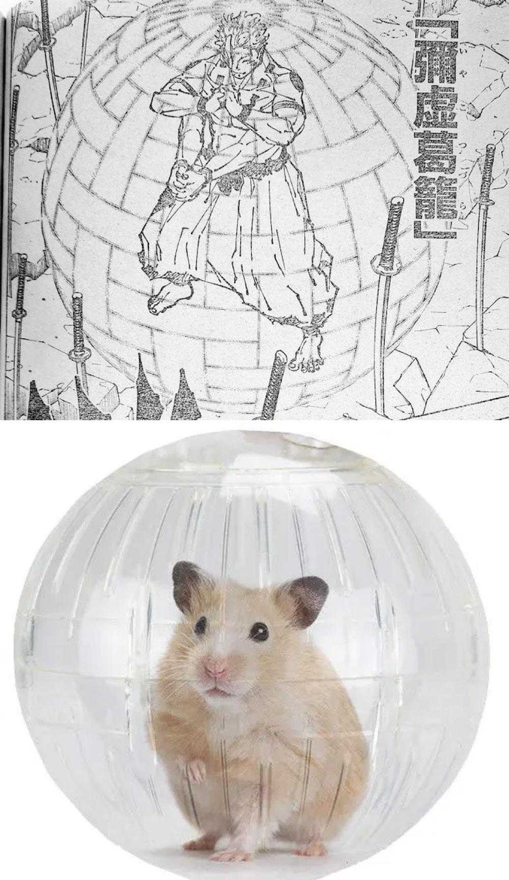 there is a hamster inside a clear ball with a drawing on it