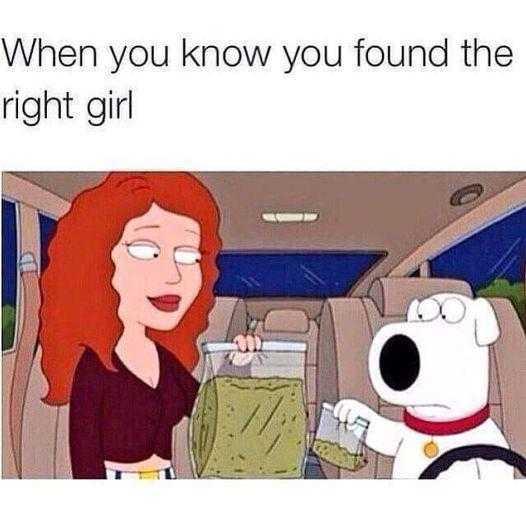 cartoon of woman in car with dog in back seat and caption saying when you know you found the right girl