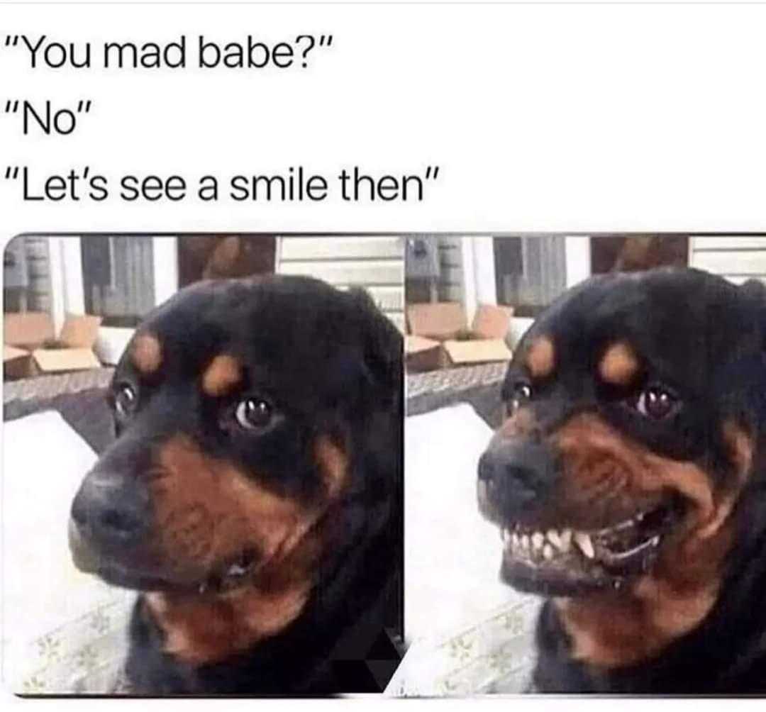 araffe dog with a funny look on its face and a caption that says, you madbabe? no let ' s see a smile then