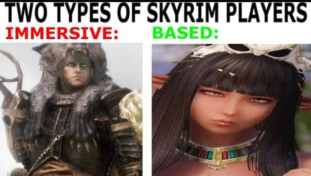 two types of skyrim players are in the same game