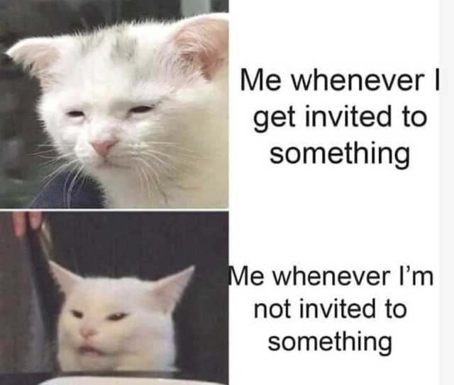 araffe meme with caption of a cat and a cat with caption of a cat saying me whenever get invited to something