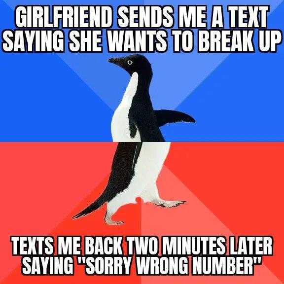 a penguin standing on a red and blue background with text saying girlfriend sends me a text saying she wants to break up texts me back two minutes later saying sorry wrong number